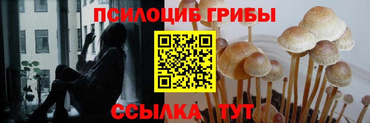 Красноармейск  Галлюциногенные грибы GOLDEN TEACHER  Вход с VPN  Псилоцибиновые грибы Cubensis 